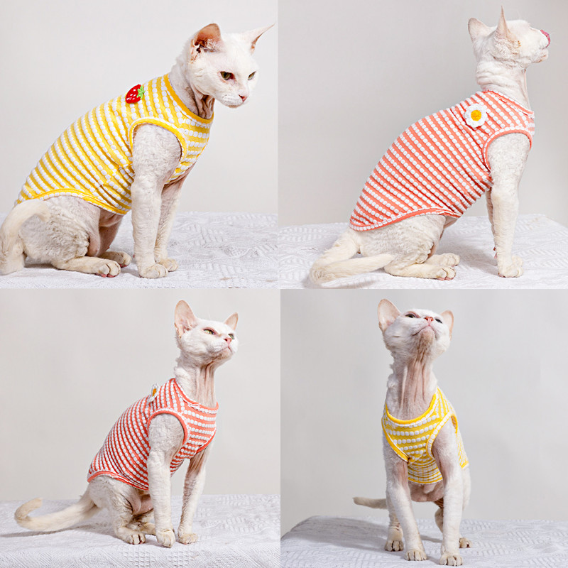 Kaos Musim Panas untuk Pakaian - Soft Summer Yellow Clothing ulasan dan harga